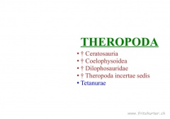Theropoda